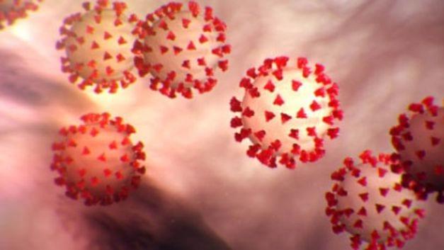 Citizen Investigator: Fauci Created Coronavirus in North Carolina Lab